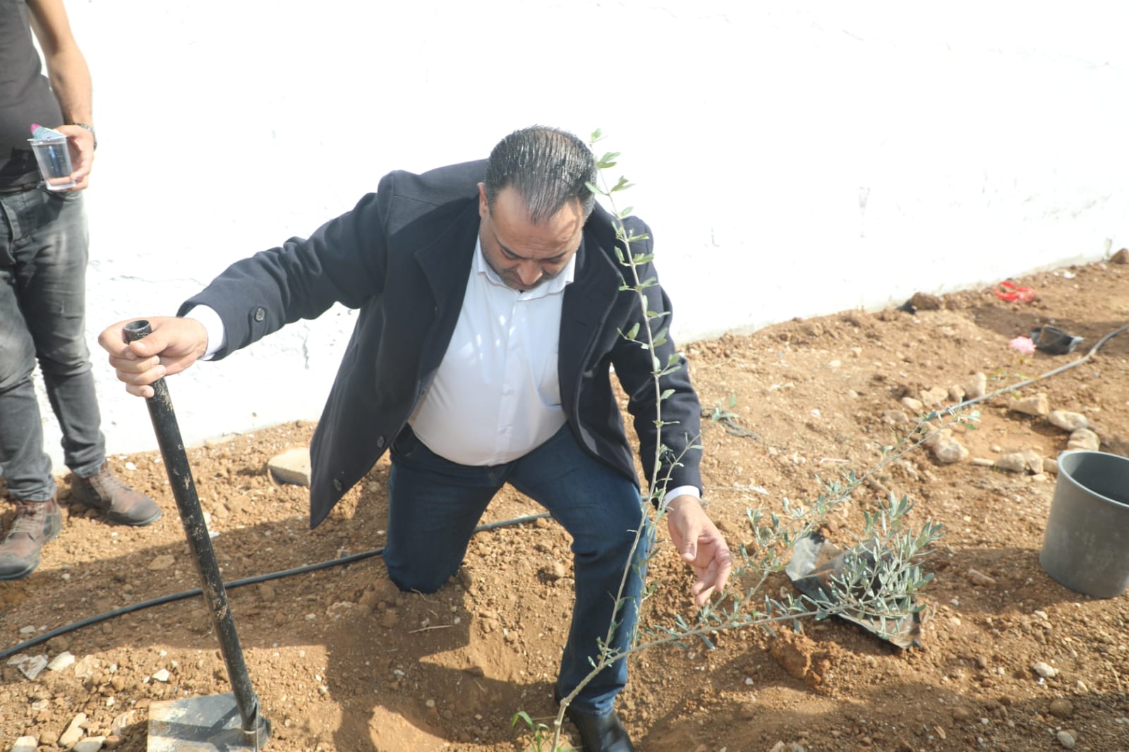 Madar Al-Saa Images