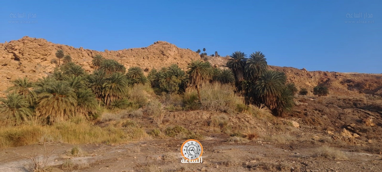 Madar Al-Saa Images 0.212864311301727