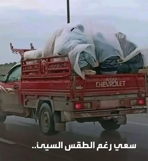 Madar Al-Saa Images 0.25785885416733123