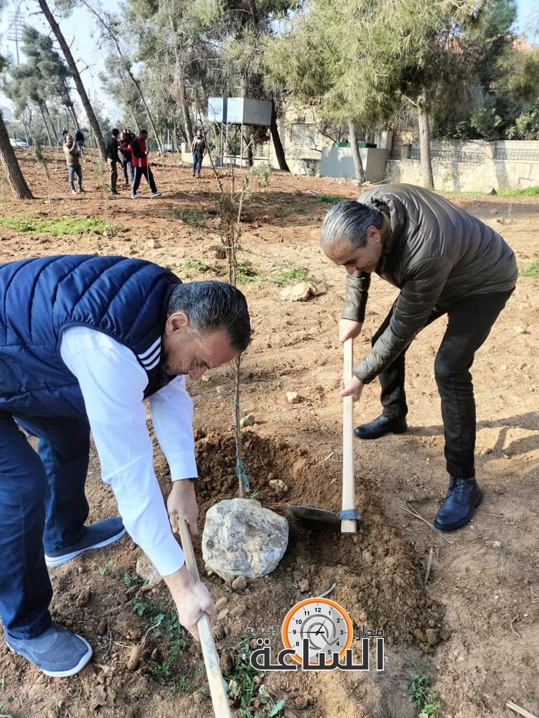 Madar Al-Saa Images 0.23528399619504592