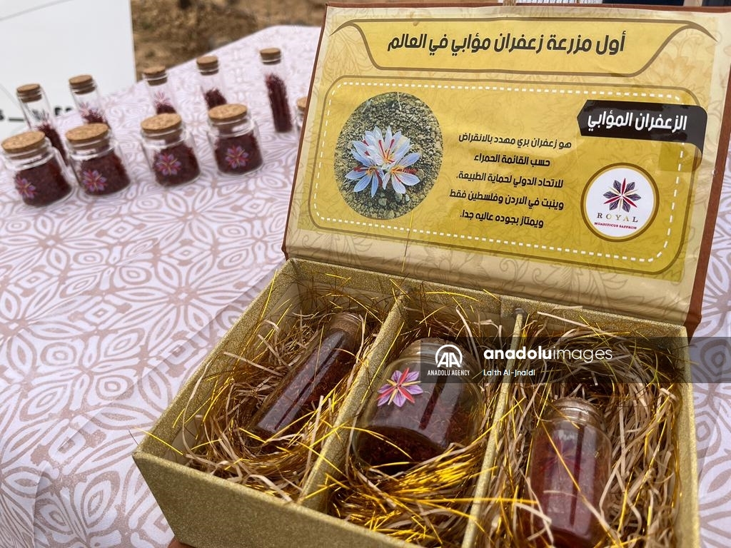 Madar Al-Saa Images 0.8673772924631495