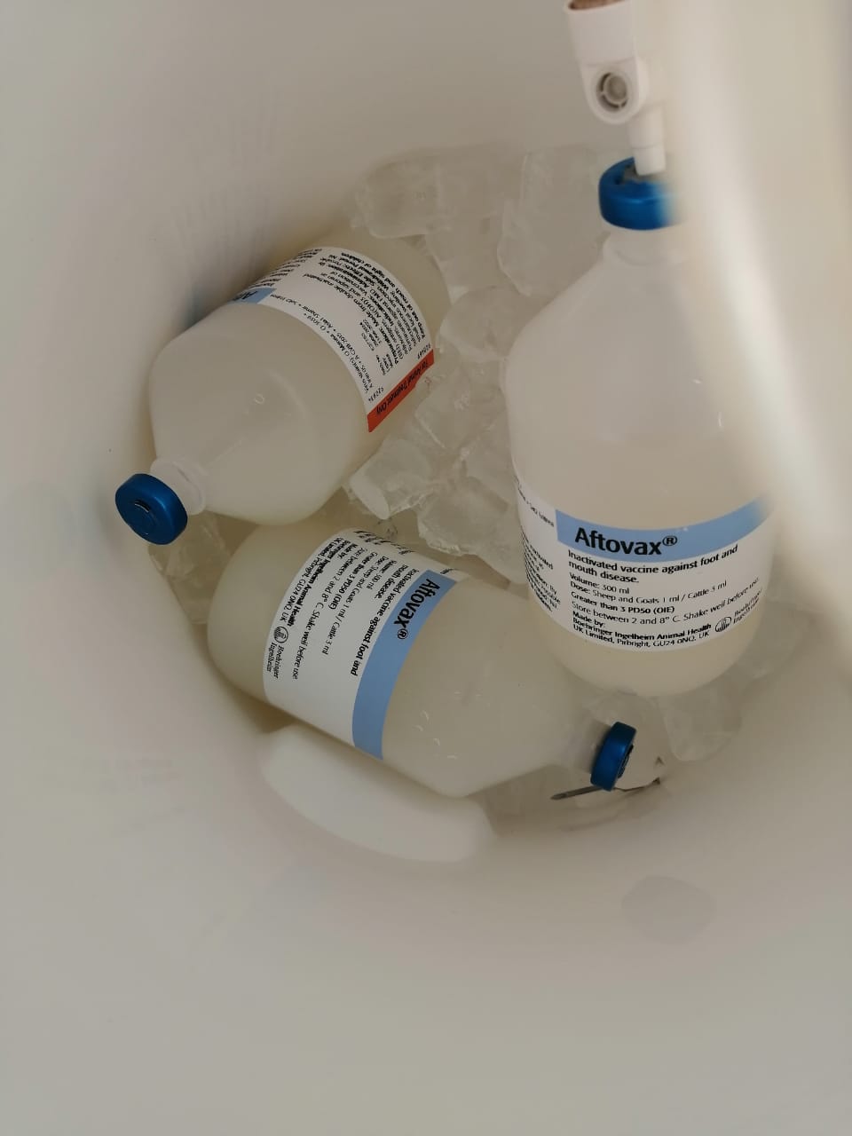 Madar Al-Saa Images 0.119929448153411