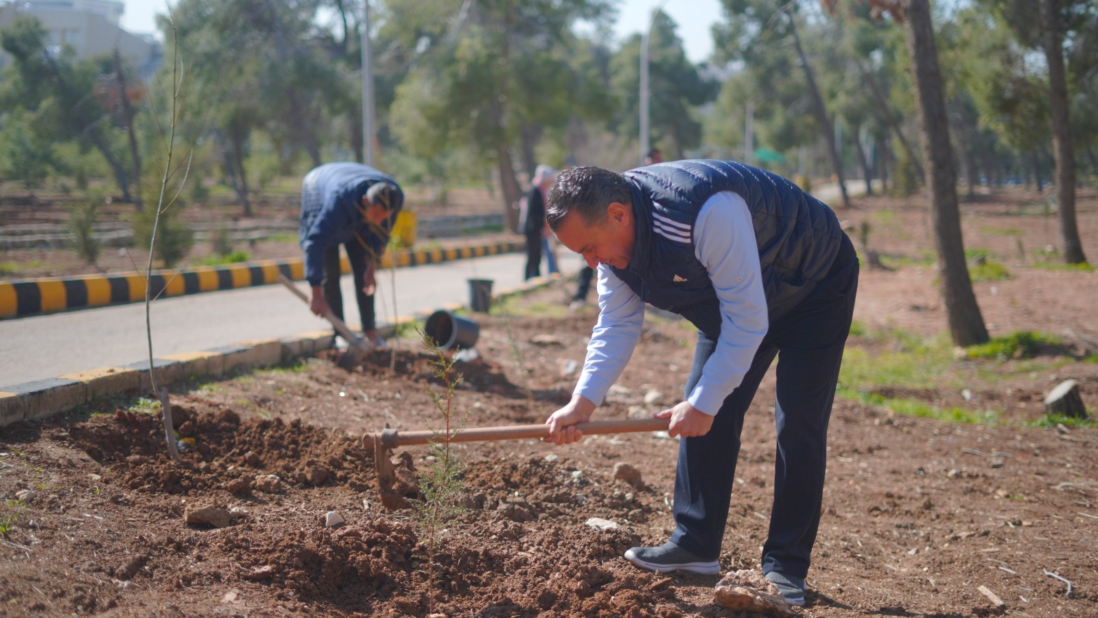 Madar Al-Saa Images 0.8834157323308045