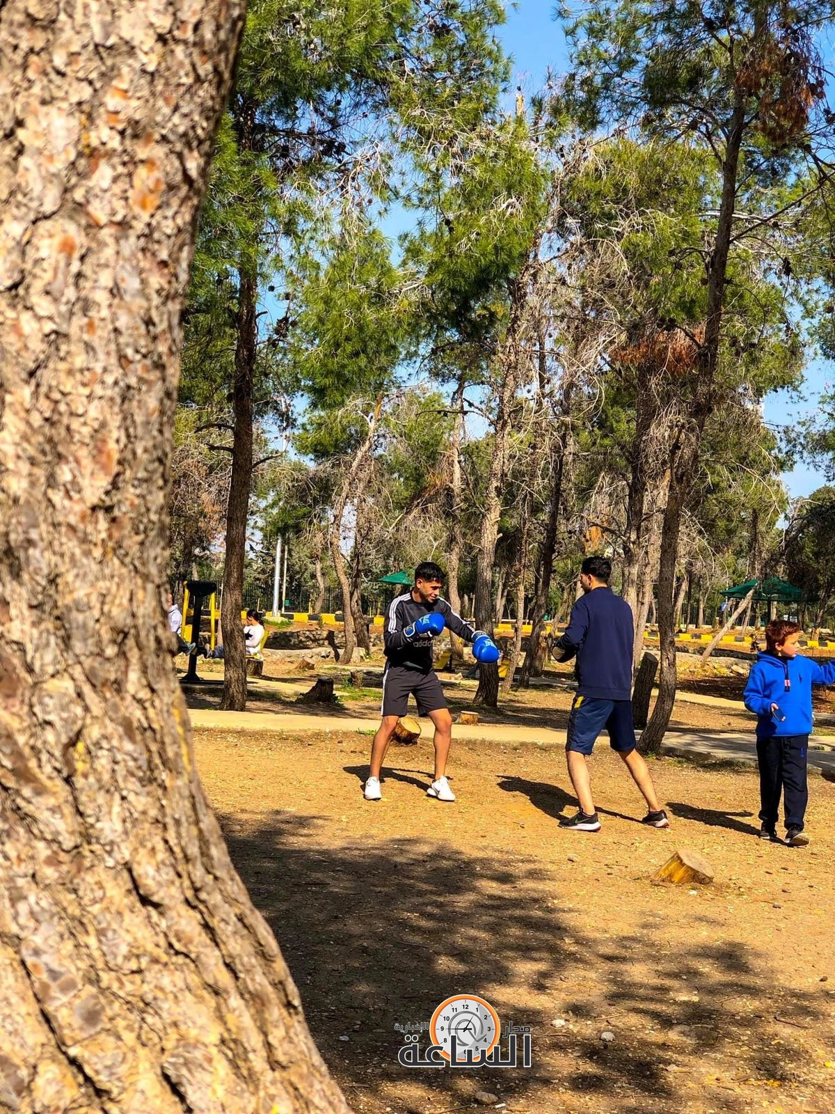 Madar Al-Saa Images 0.6659929272852958