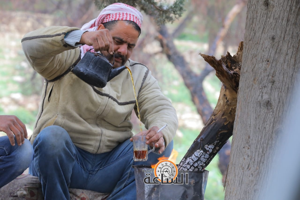 Madar Al-Saa Images 0.876937159597053