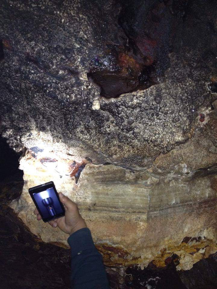 Madar Al-Saa Images 0.9513204495707133