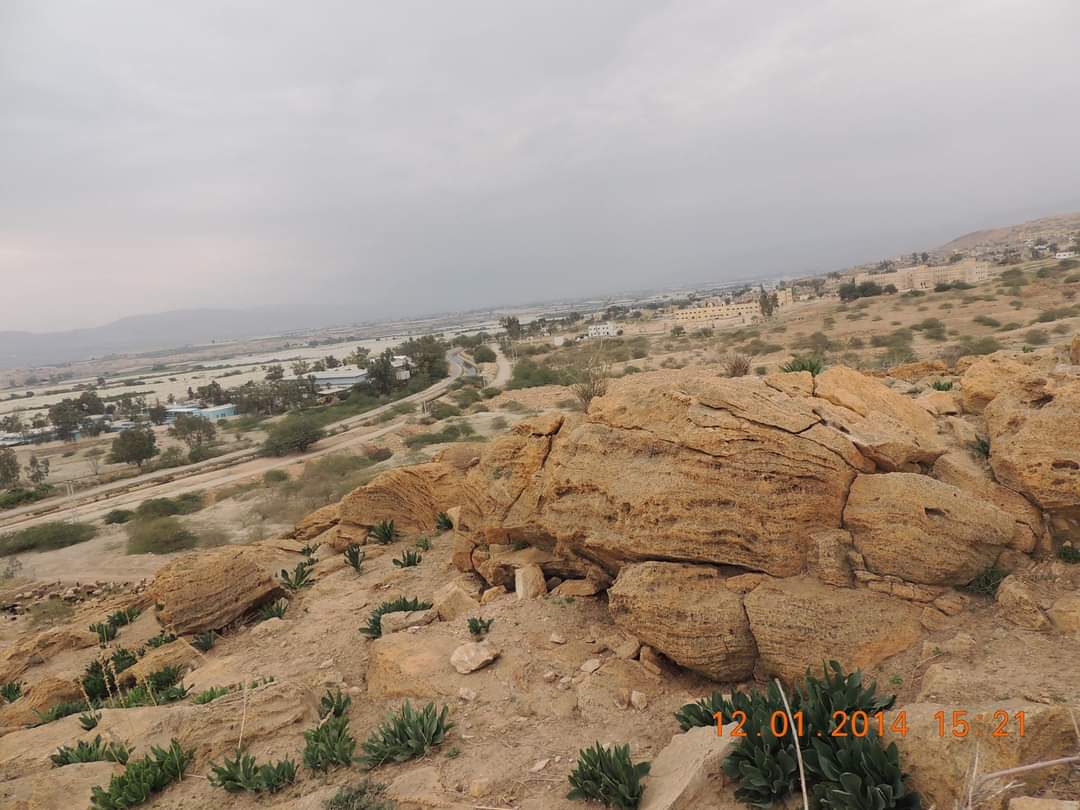 Madar Al-Saa Images 0.4410478216875686