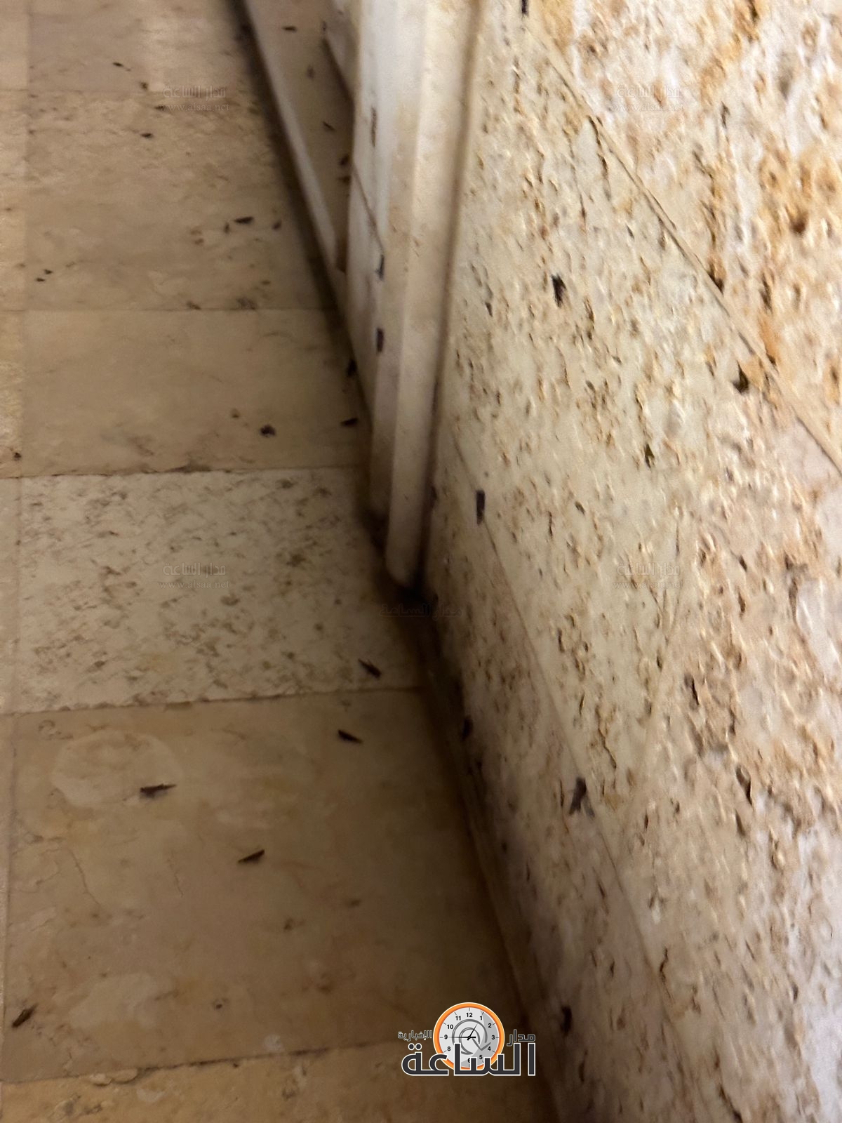 Madar Al-Saa Images 0.9471973137834404