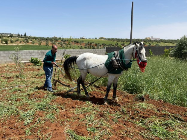 Madar Al-Saa Images 0.5962370085263029