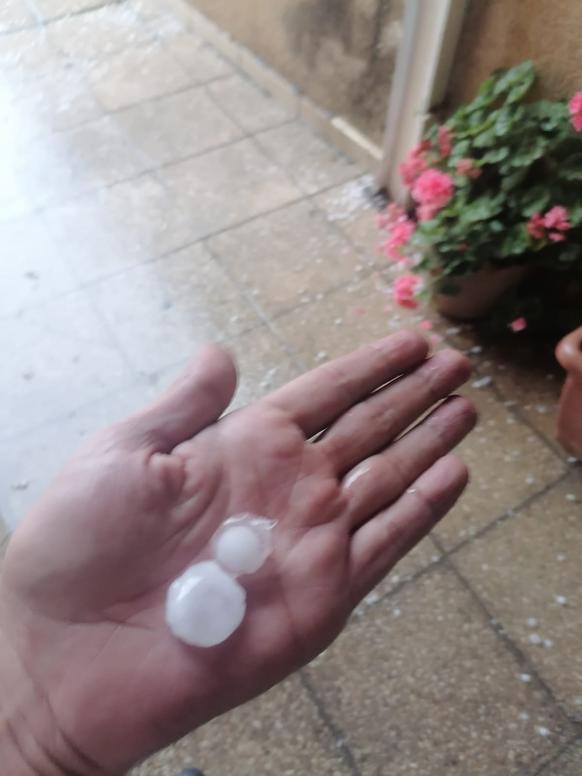 Madar Al-Saa Images 0.6336926076677787