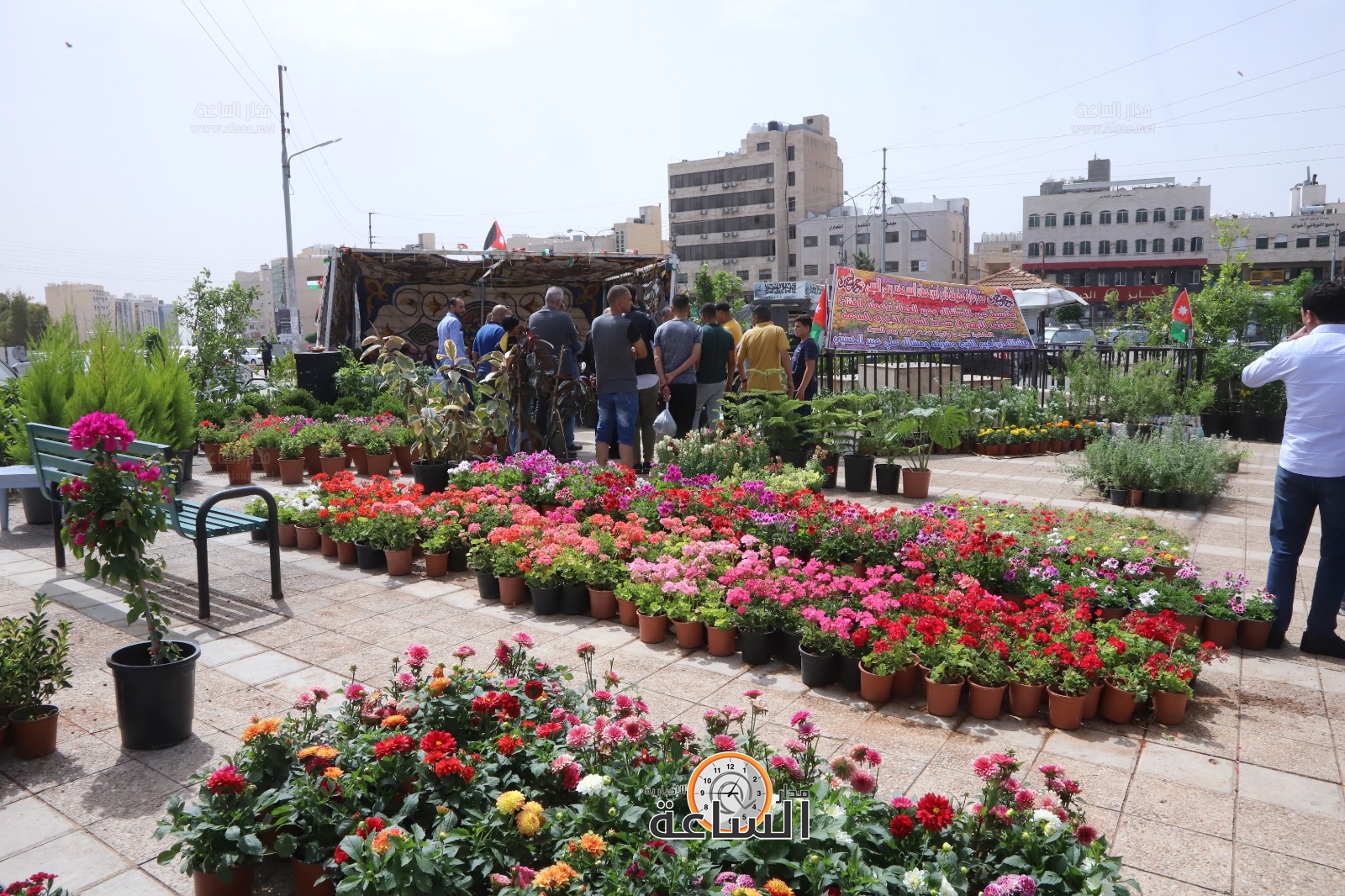 Madar Al-Saa Images 0.33914536722977284