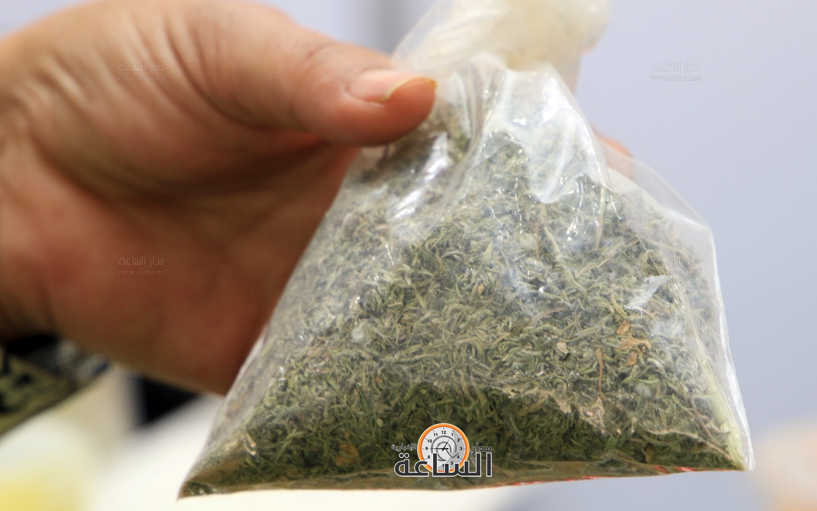 Madar Al-Saa Images 0.9707442657086265