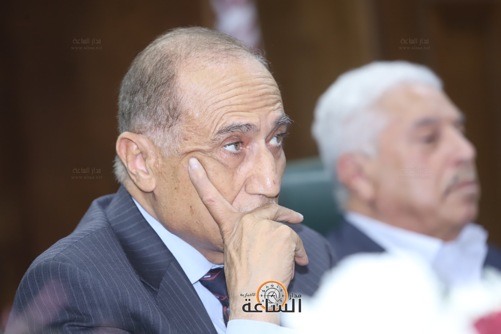 جواد العناني