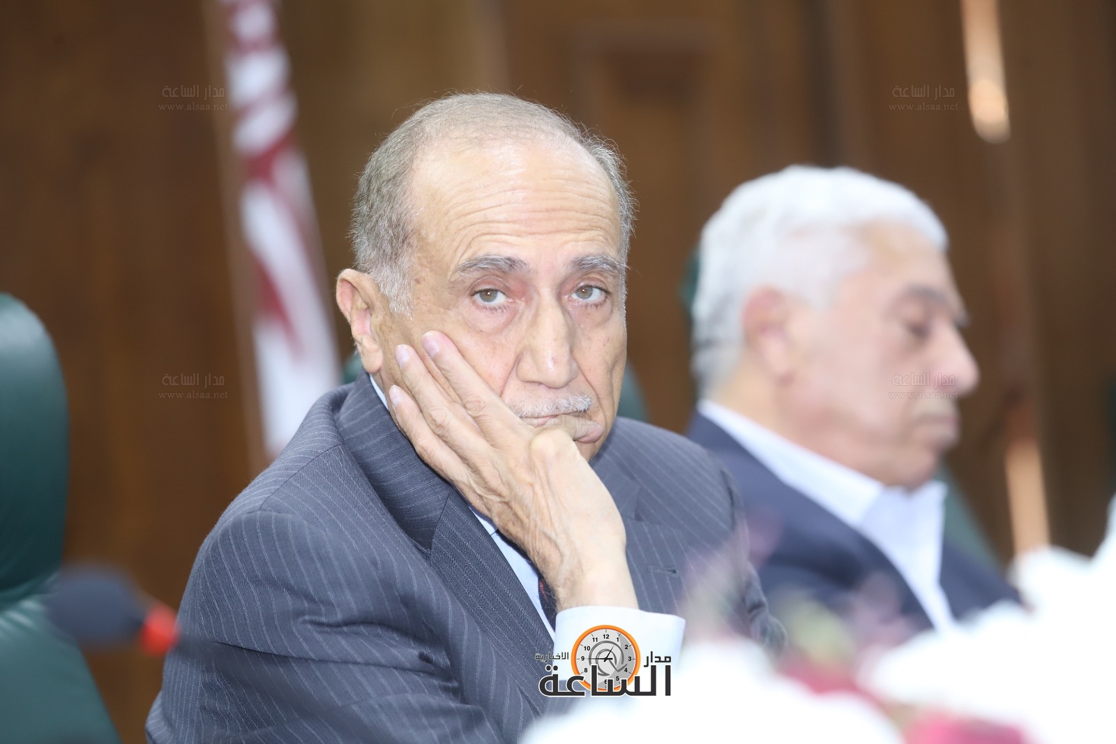 جواد العناني