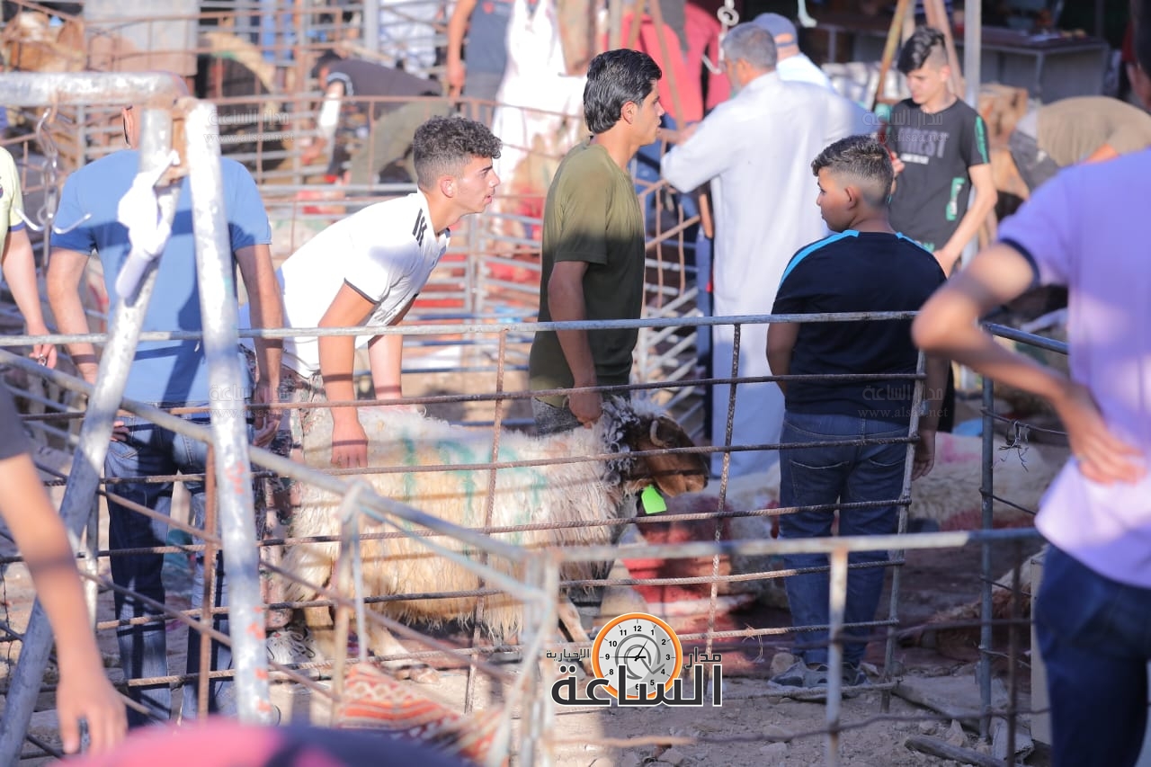 Madar Al-Saa Images 0.385716748175597