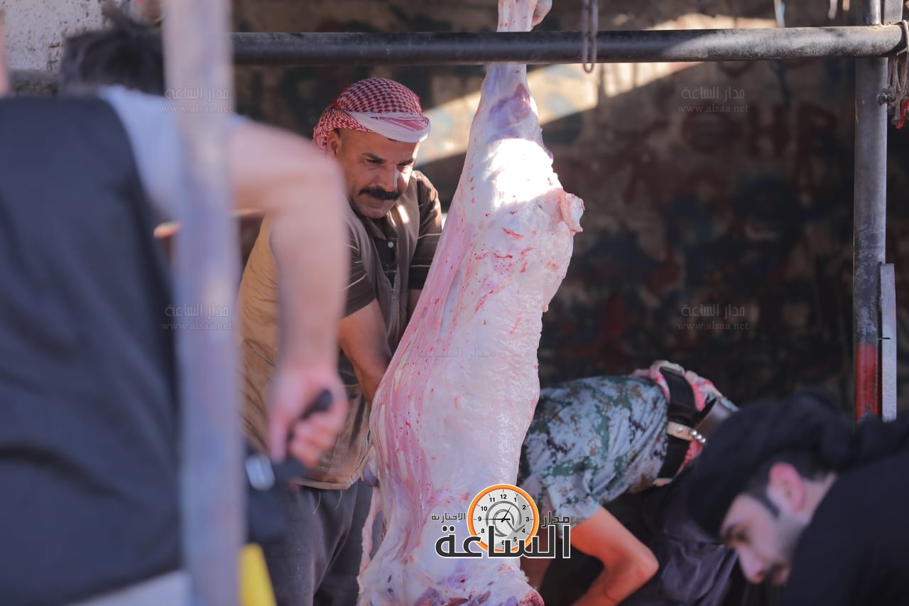 Madar Al-Saa Images 0.4435530127365872