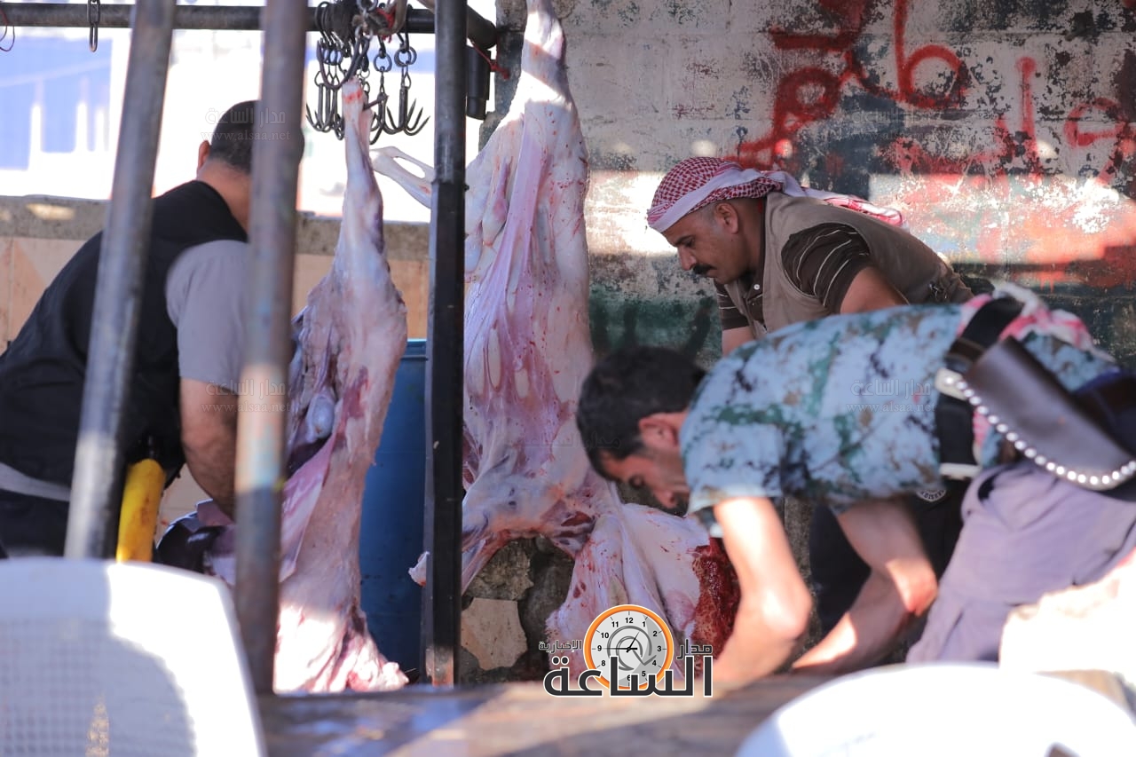 Madar Al-Saa Images 0.029845686280370876