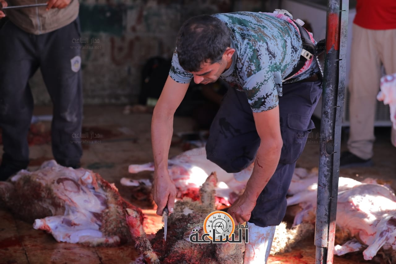 Madar Al-Saa Images 0.4451901663603075