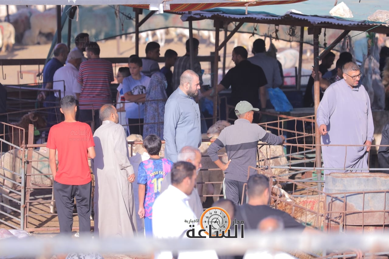 Madar Al-Saa Images 0.9584063368322346