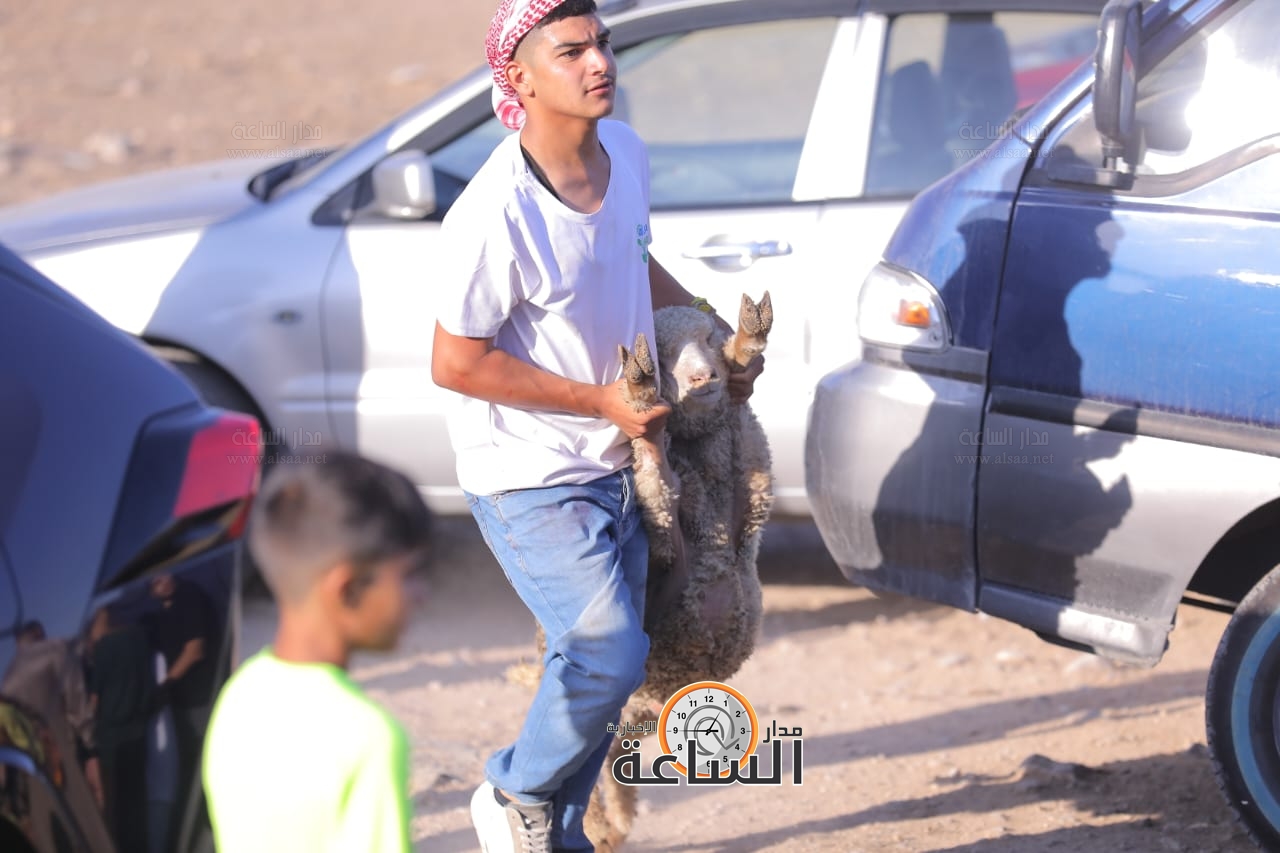 Madar Al-Saa Images 0.574337523813333