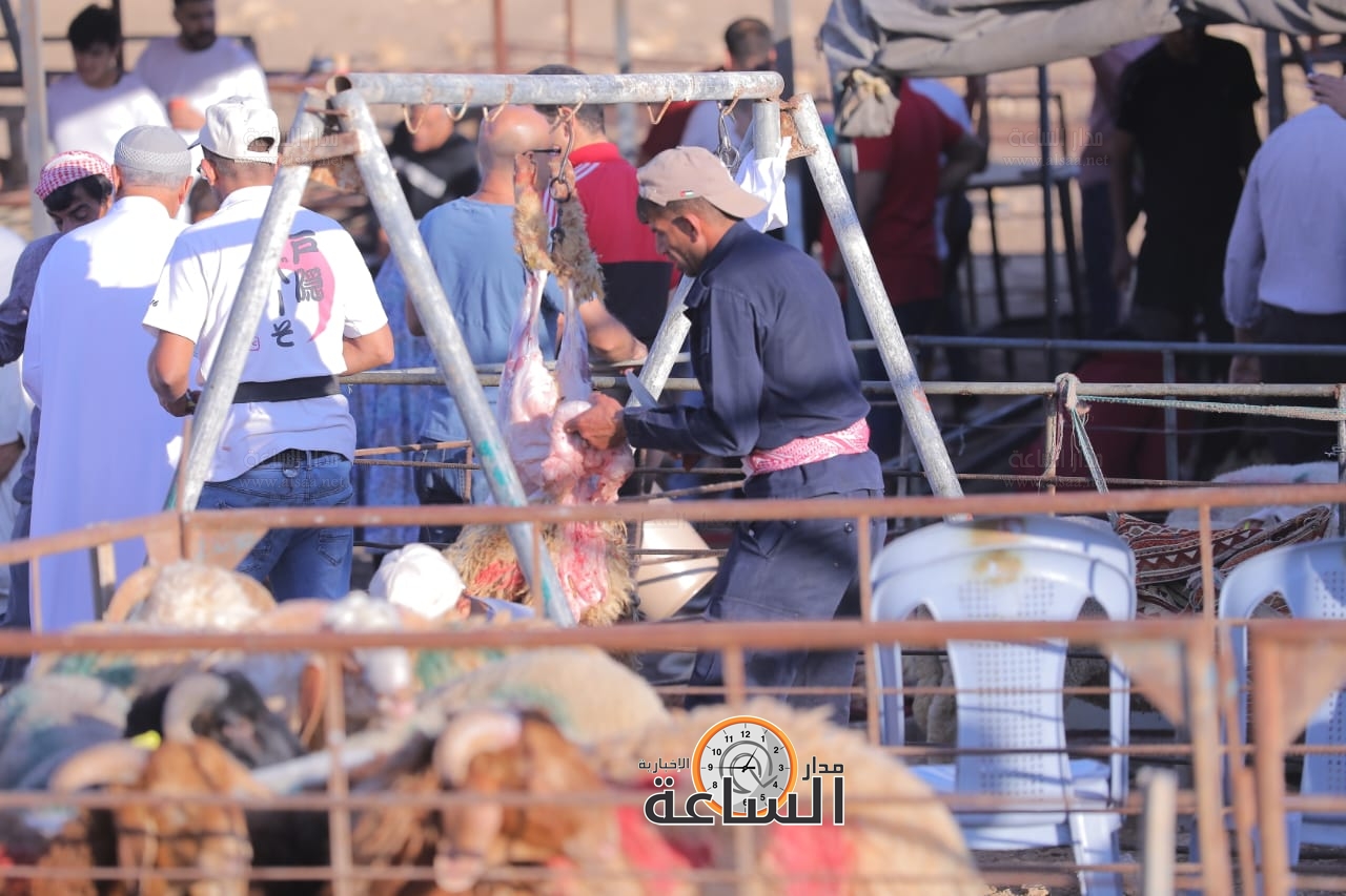 Madar Al-Saa Images 0.817557076746259