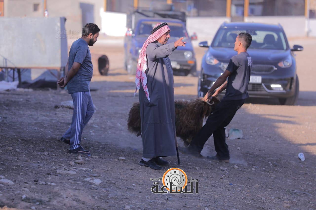 Madar Al-Saa Images 0.7859286940978056