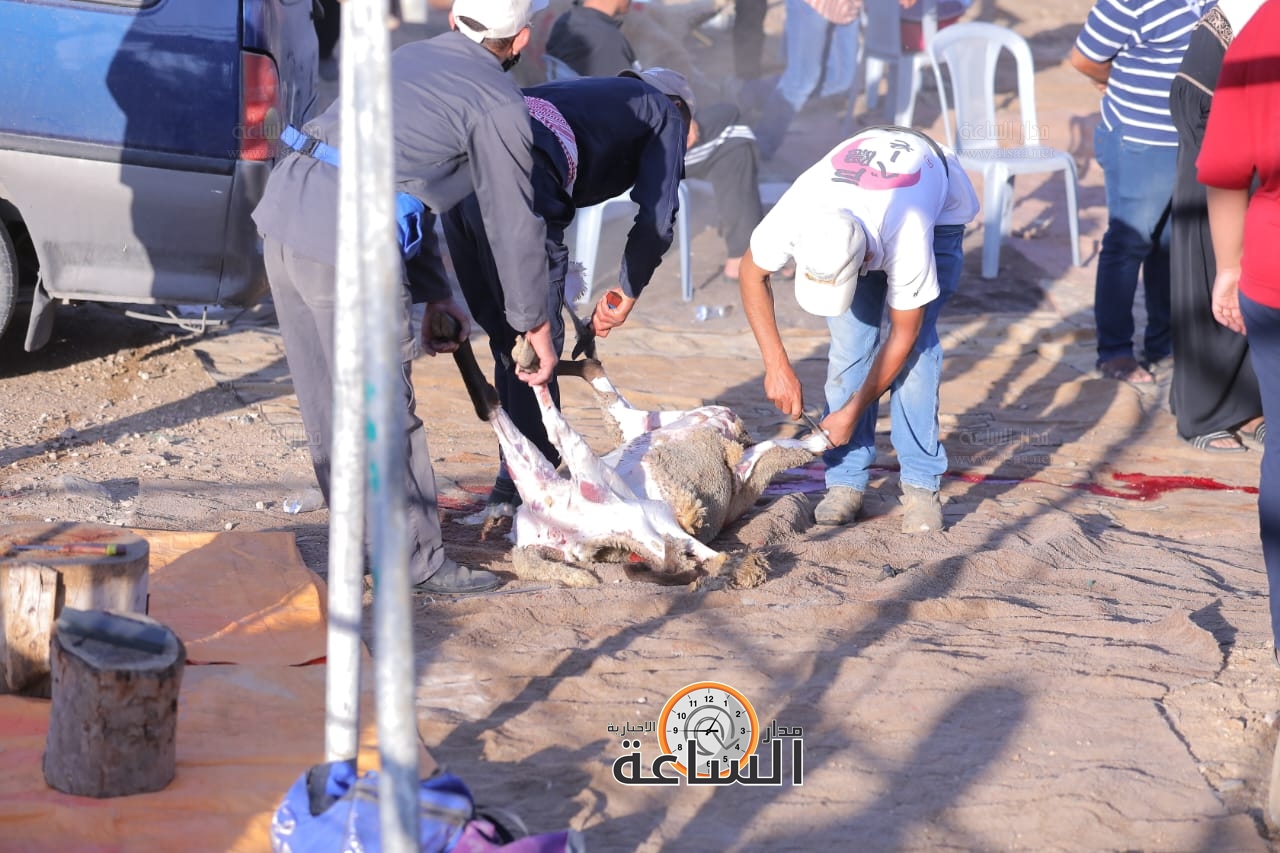 Madar Al-Saa Images 0.9570364496947237