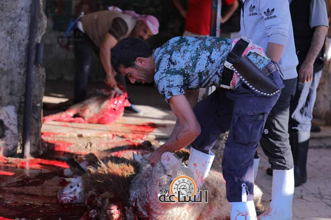 Madar Al-Saa Images 0.4952476479040313