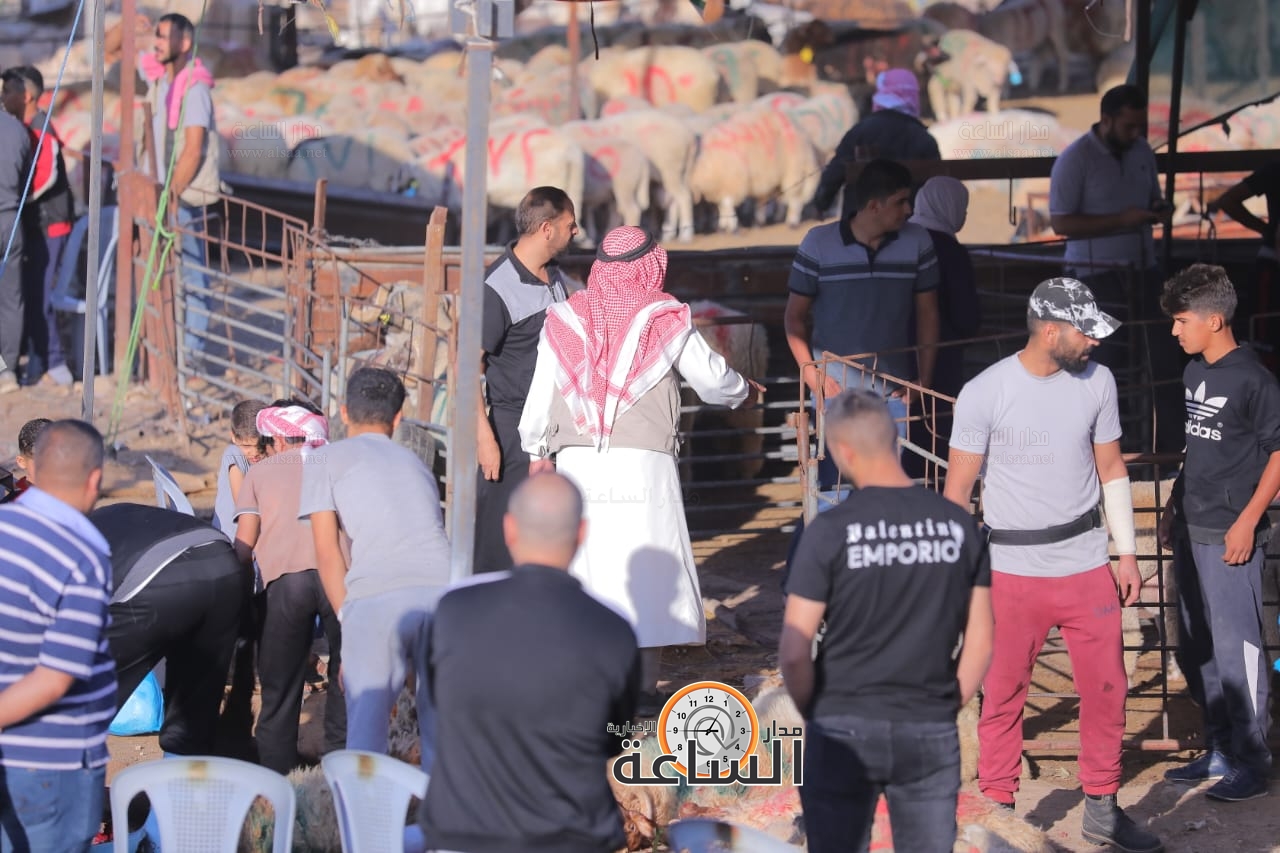 Madar Al-Saa Images 0.931957294148182