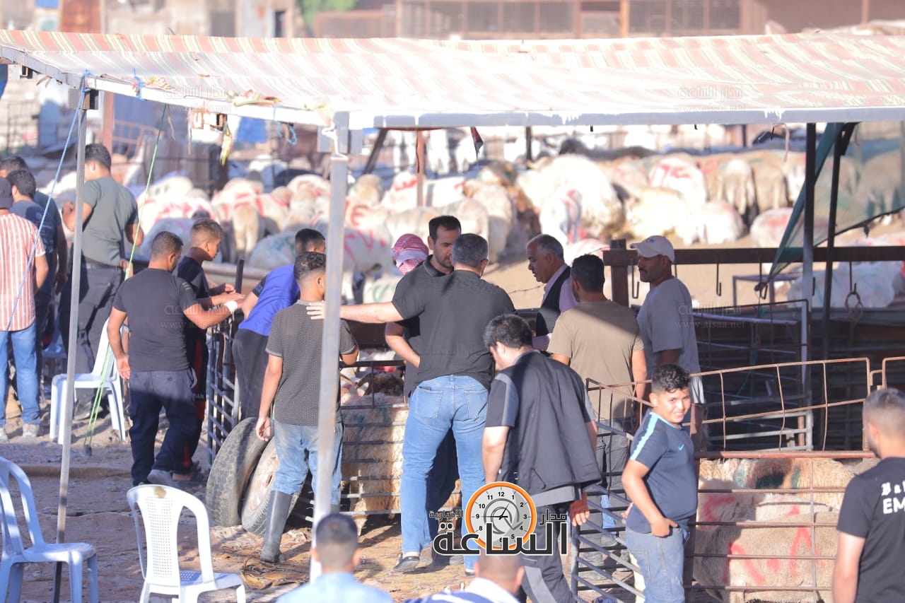 Madar Al-Saa Images 0.38358500719242006