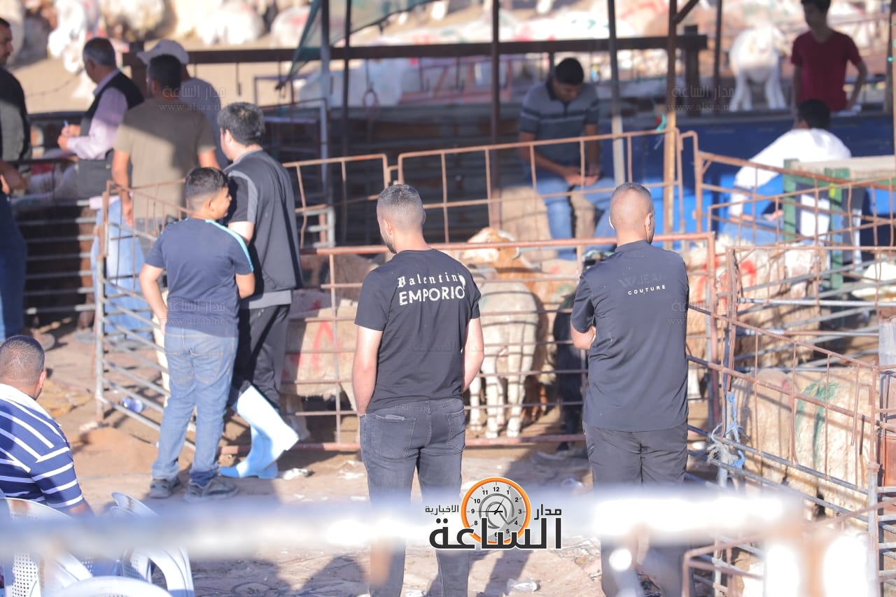 Madar Al-Saa Images 0.3856992280731124