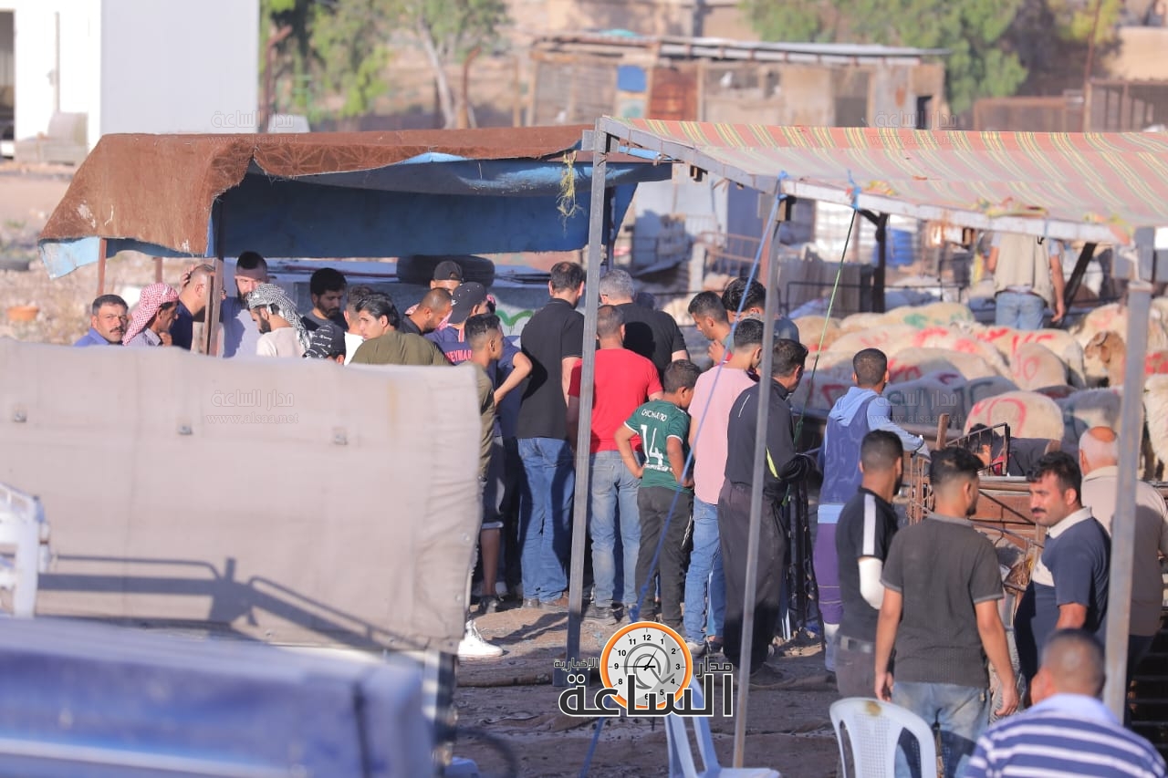 Madar Al-Saa Images 0.849978179126063