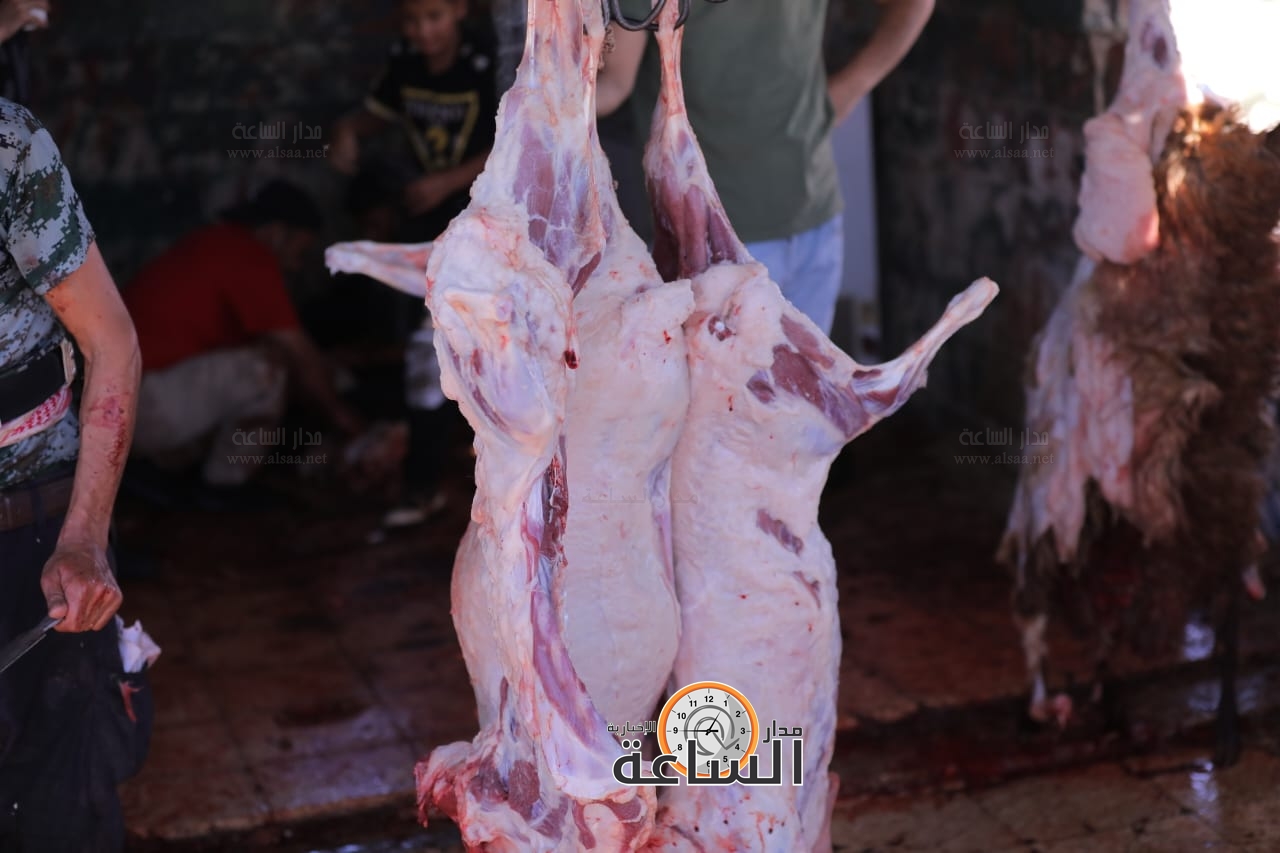 Madar Al-Saa Images 0.5932132343643983