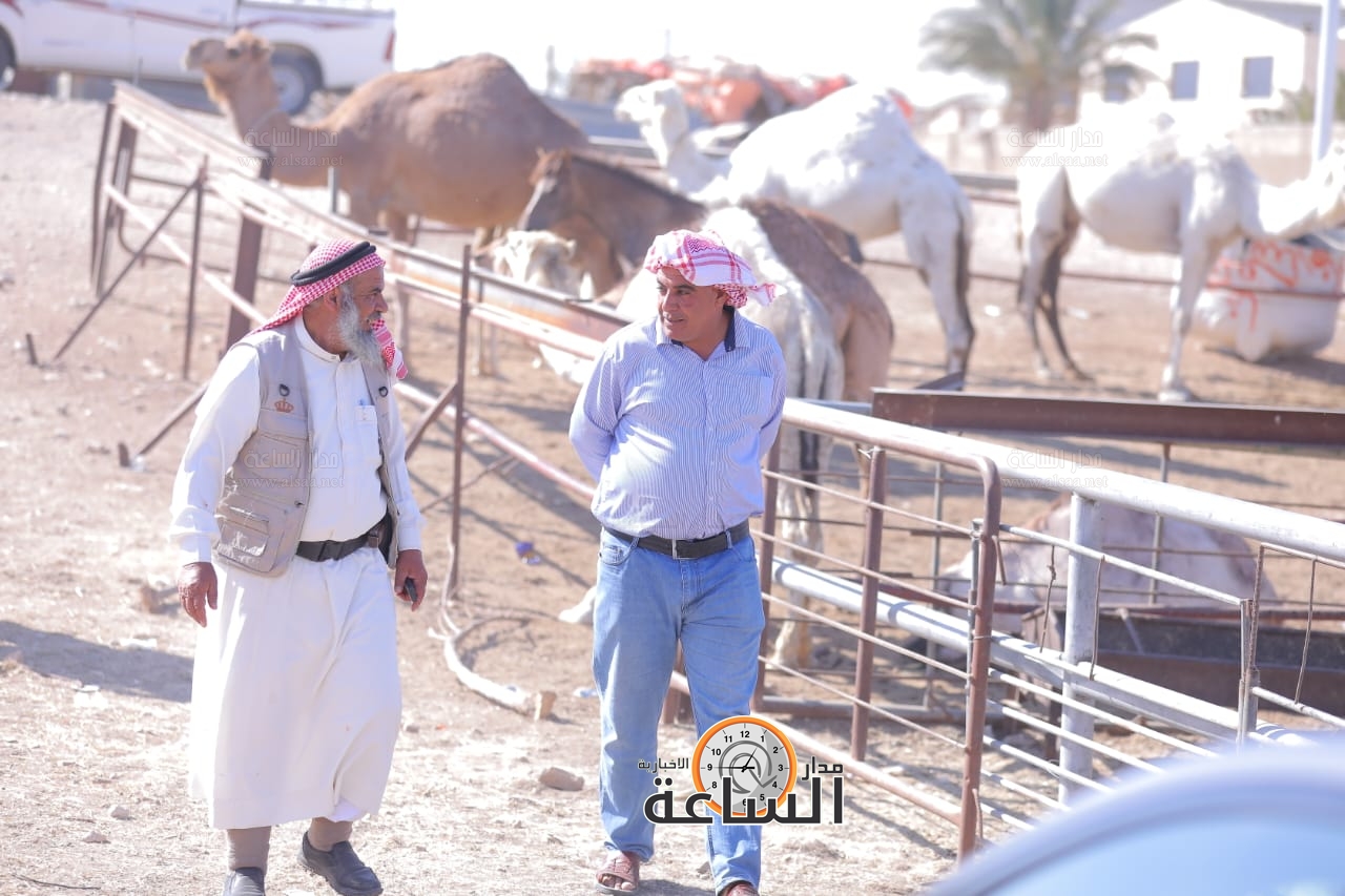 Madar Al-Saa Images 0.40782279574505775