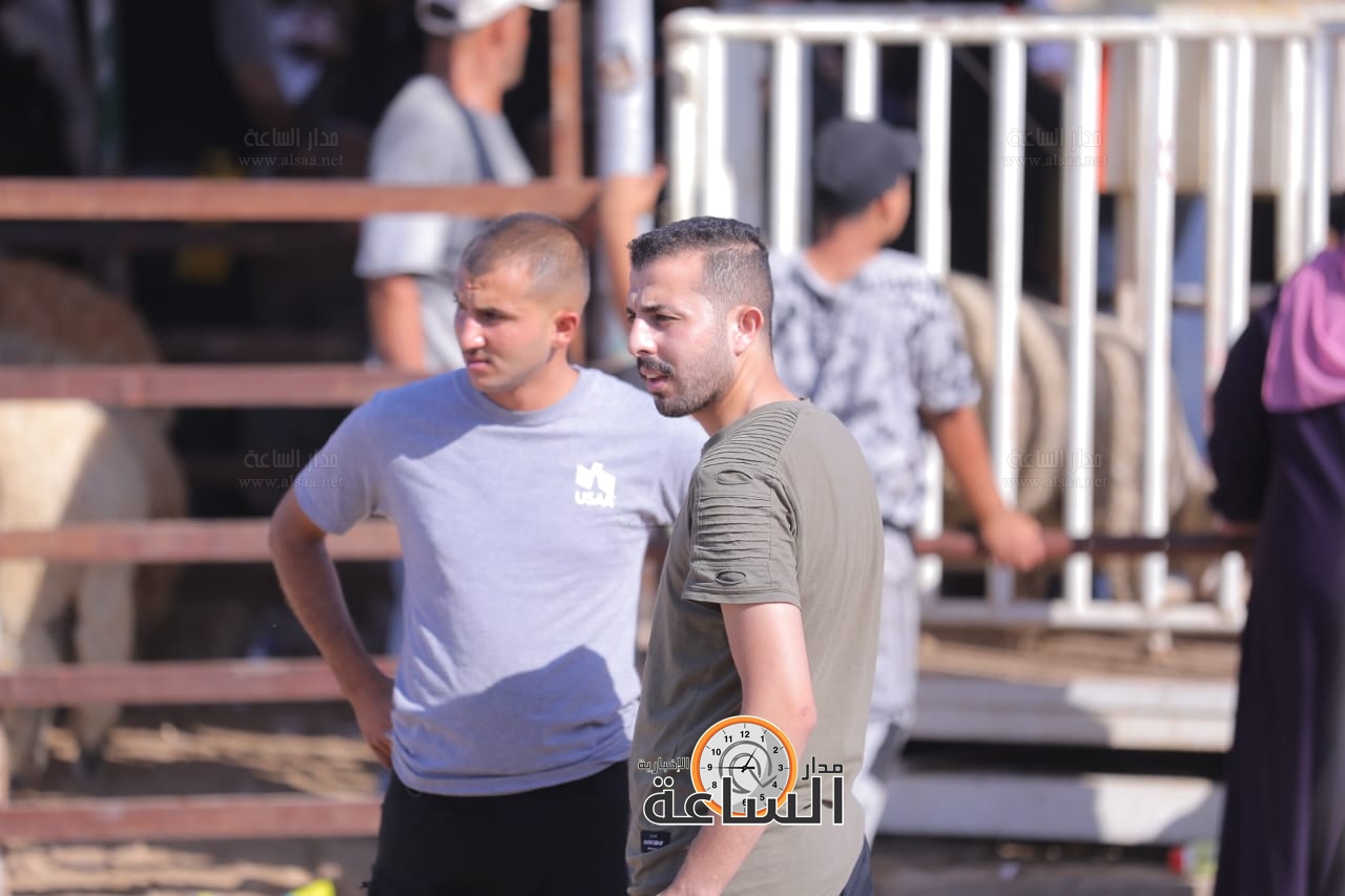 Madar Al-Saa Images 0.5327187865269558