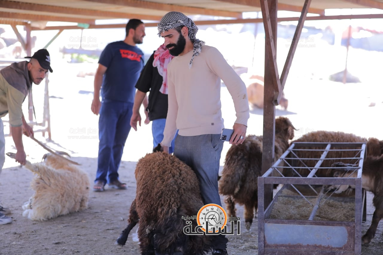 Madar Al-Saa Images 0.8561487449109053