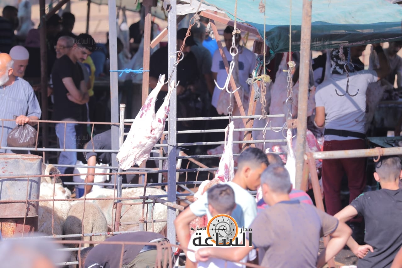 Madar Al-Saa Images 0.5437091685552118