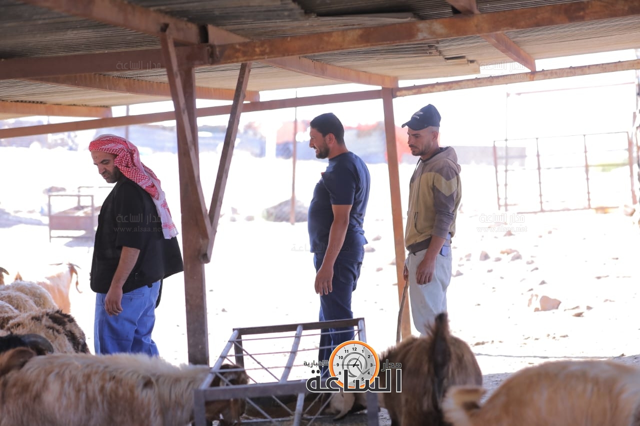 Madar Al-Saa Images 0.6115105262488885