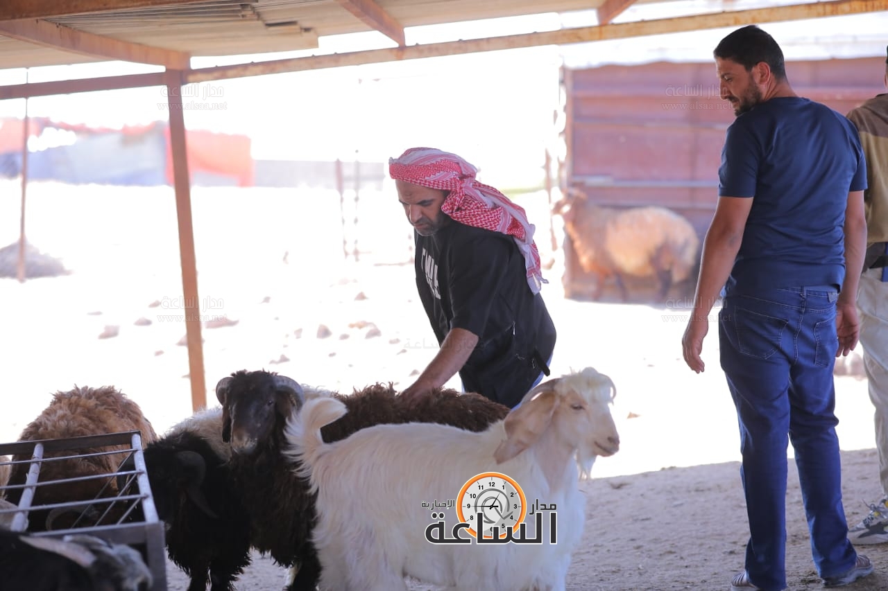 Madar Al-Saa Images 0.1378468212863866