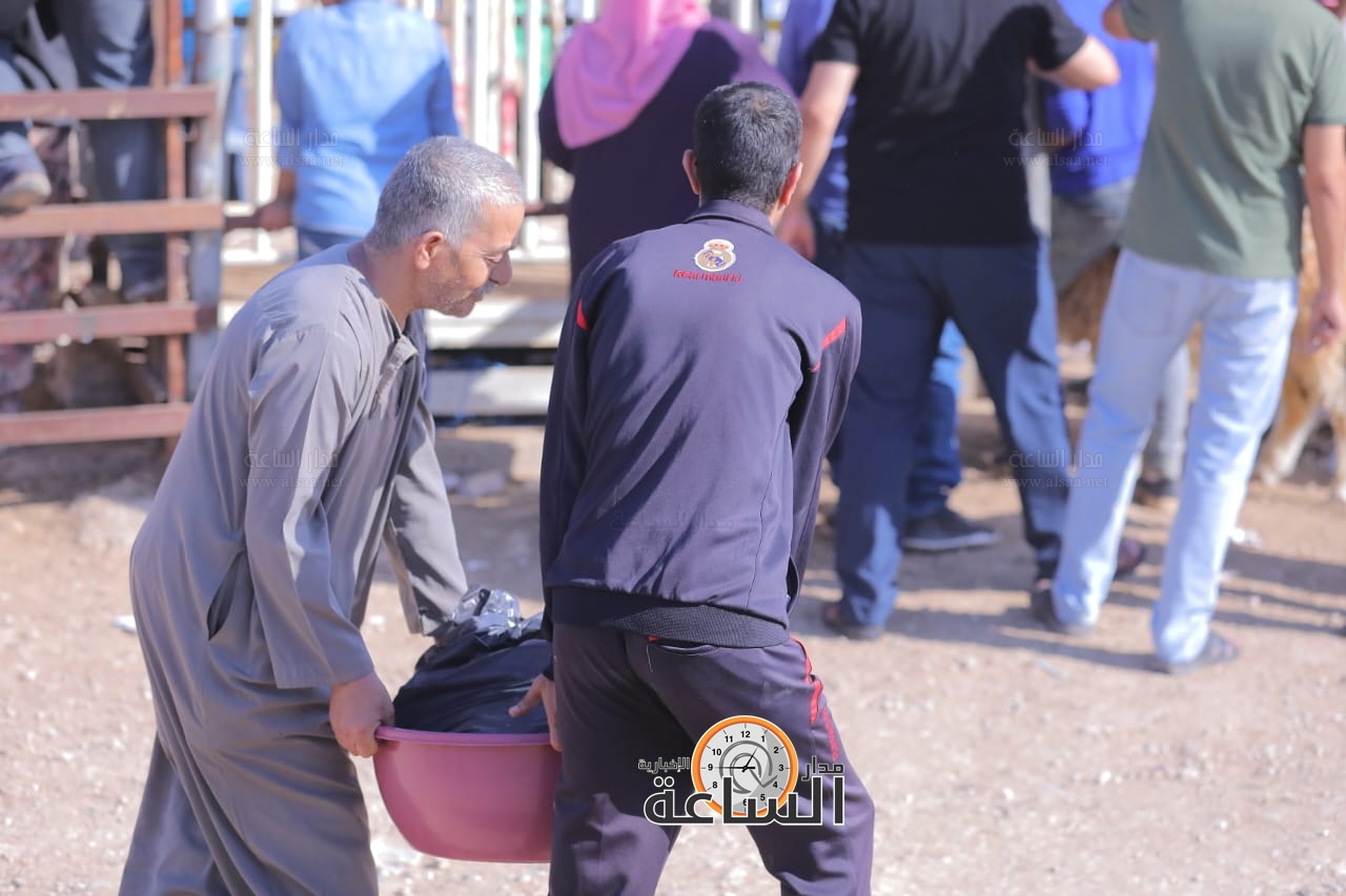 Madar Al-Saa Images 0.07853301643515653