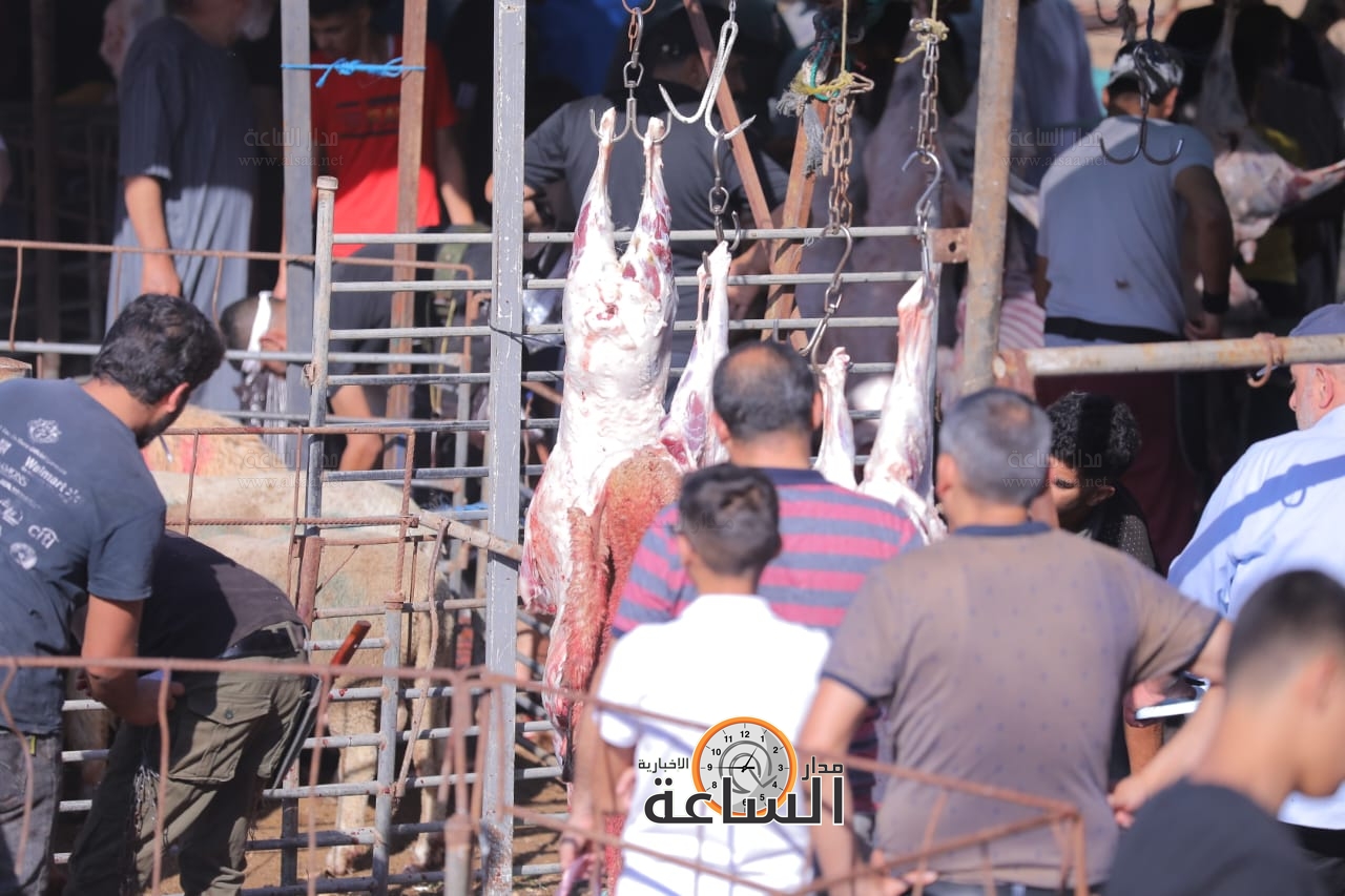 Madar Al-Saa Images 0.5419736037578056