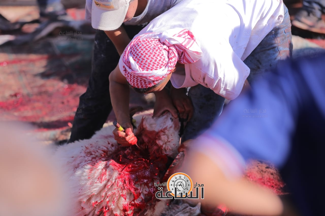 Madar Al-Saa Images 0.929157197926082