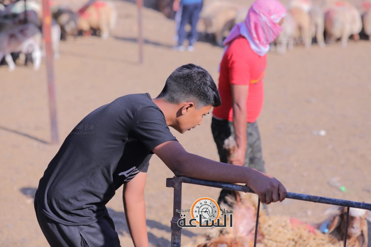 Madar Al-Saa Images 0.037024696563669135