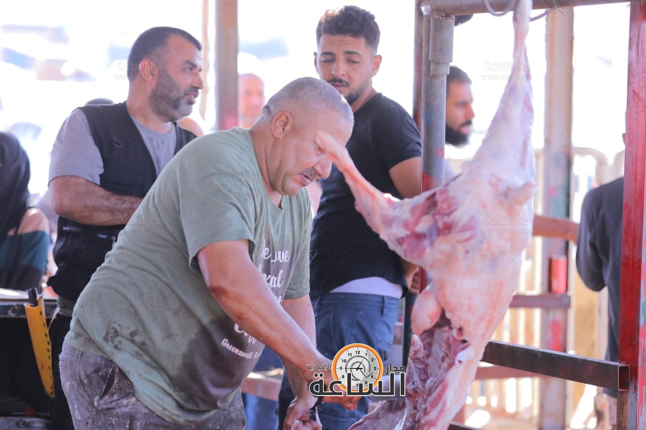 Madar Al-Saa Images 0.25157691410666483