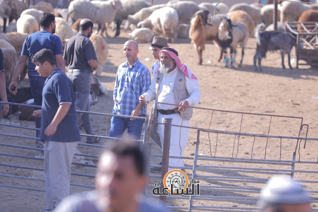 Madar Al-Saa Images 0.5668677846451478