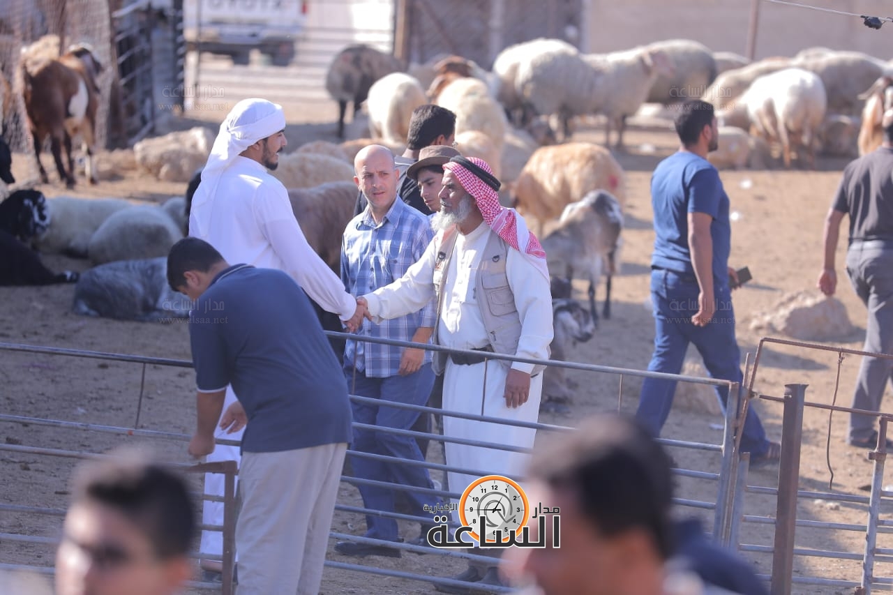 Madar Al-Saa Images 0.04181634382018862