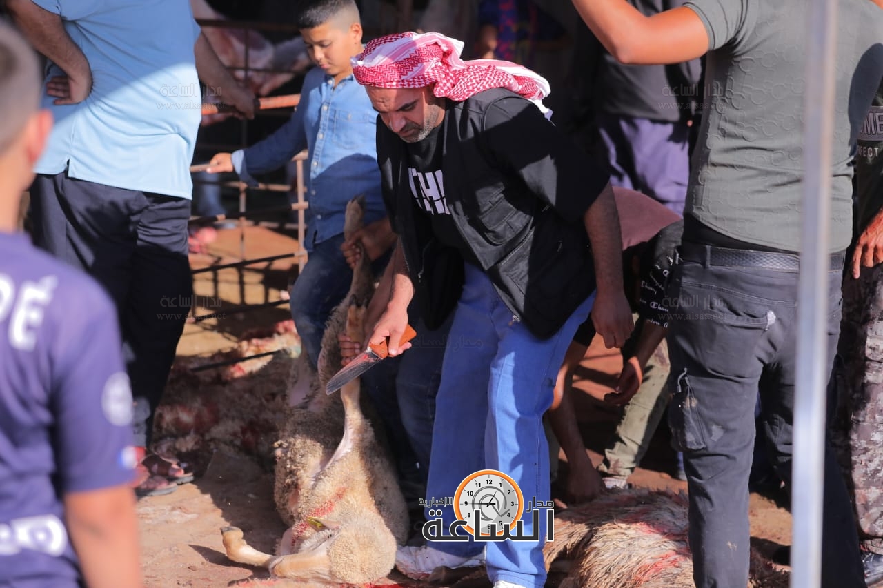 Madar Al-Saa Images 0.6015780119980698