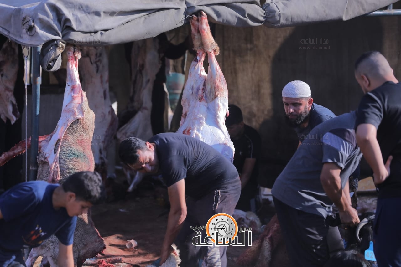 Madar Al-Saa Images 0.41497137108359494