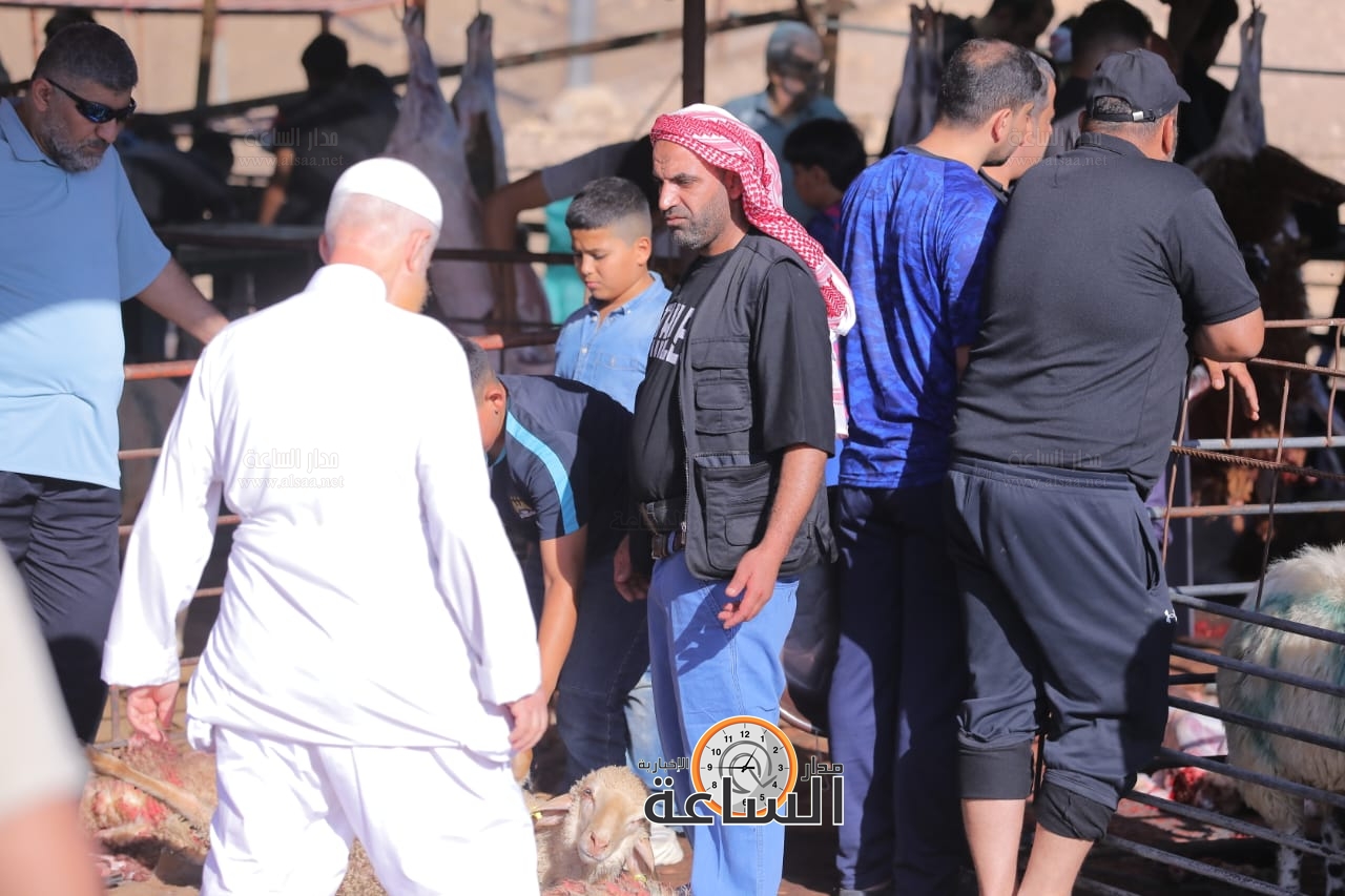 Madar Al-Saa Images 0.8385948825904397