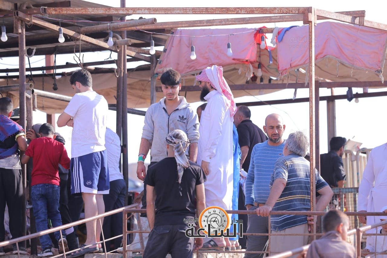 Madar Al-Saa Images 0.9572516329905372